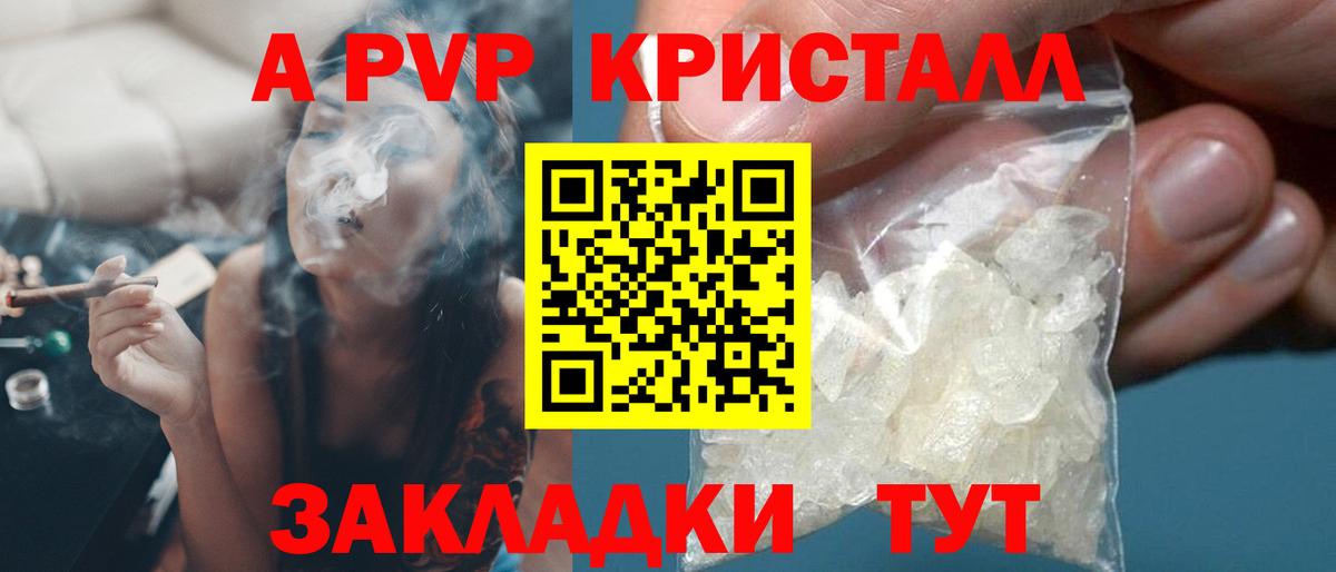 A PVP СК КРИС Петровск