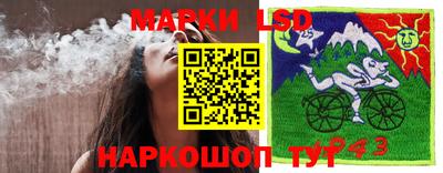 индика Усть-Джегута