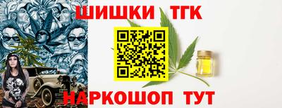 индика Усть-Джегута