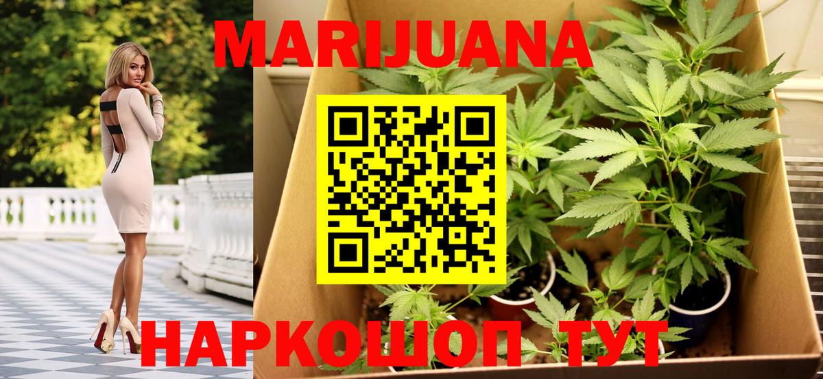 Бошки марихуана марихуана  Петровск  Марихуана AK-47  Марихуана гибрид  Конопля ГИДРОПОН 