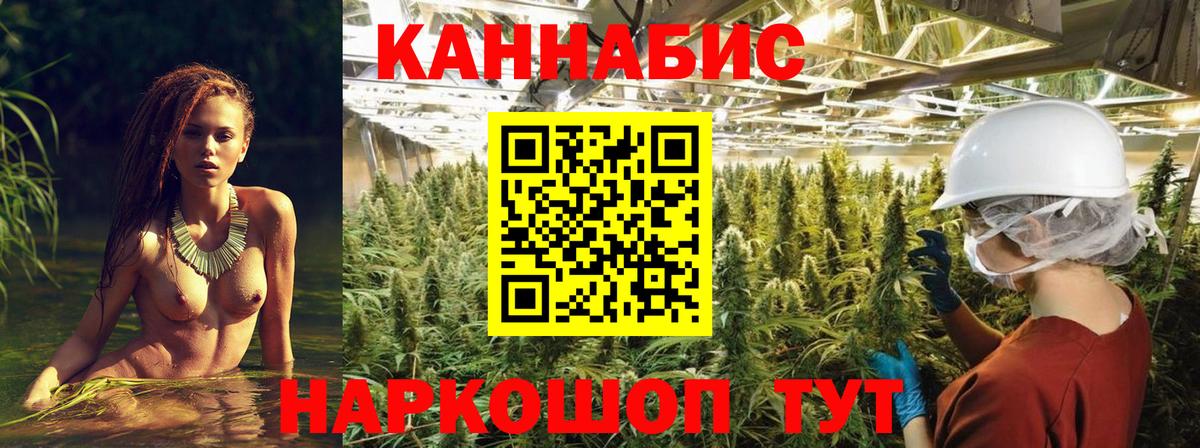 Каннабис Amnesia  Конопля план  Петровск  Вход с VPN  Конопля MAZAR 